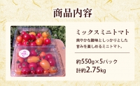  北海道 滝川市 産 ミックス ミニトマト 約2.75kg トマト 野菜 やさい みにとまと