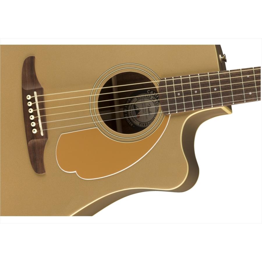 Fender　Redondo Player Bronze Satin