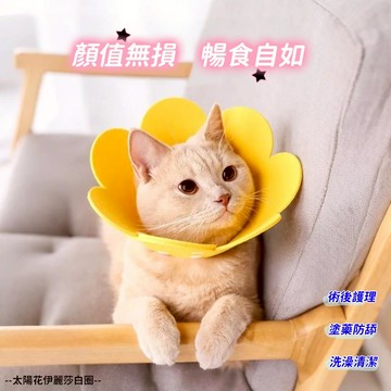 💖【台灣出貨】🚀 寵物伊麗莎白圈 太陽花伊麗莎白圈 貓咪項圈 術後護理 防舔防咬 狗狗頸圈 貓咪脖圈 小貓項圈 寵物用品
