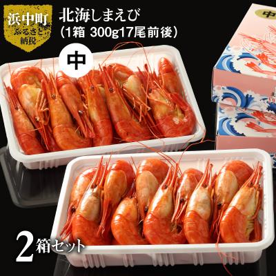 ふるさと納税 浜中町 北海しまえび中　2箱セット(1箱300g17尾前後)