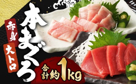 長崎県産 本マグロ2種盛り「赤身・大とろ」計1kg