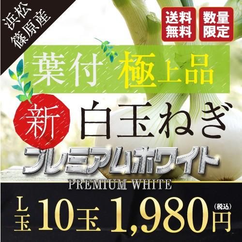 たまねぎ 白玉ねぎ 浜松篠原産プレミアムホワイト 辛くない！芳醇な甘さとみずみずしさが魅力