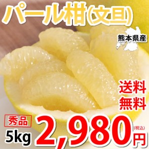 パール柑 文旦 みかん 送料無料 秀品 5kg M～2Lサイズ混合 熊本県産 グレープフルーツ 蜜柑