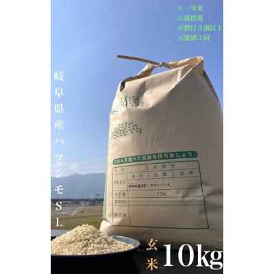 ふるさと納税 養老町 養老町産　岐阜ハツシモ　10kg　玄米　全6回