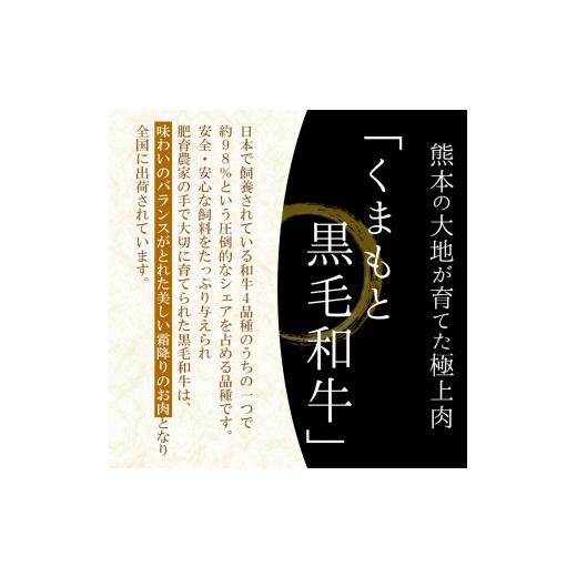 ふるさと納税 熊本県 和水町 焼肉・BBQセット 黒毛和牛A4／A5 カルビ 300g 豚バラ 300g 鶏モモ 300g 粗びきウインナー 200g(20g×10本) 豚肩ロース 300g 計140…