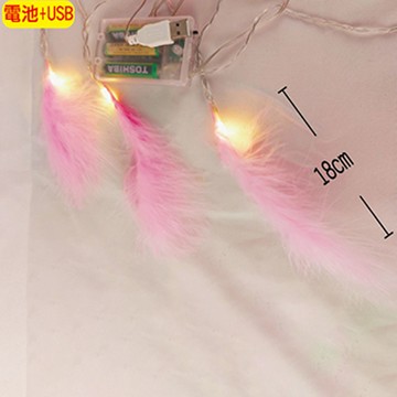 LED 20燈羽毛粉電池燈+USB暖光SCX-109-B