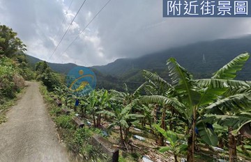 南投中寮鄉~稀有便宜農地(出價就談)｜南投縣中寮鄉福山段