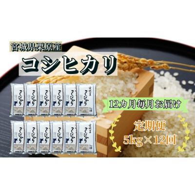 ふるさと納税 栗原市 宮城栗原産 コシヒカリ 白米5kg全12回