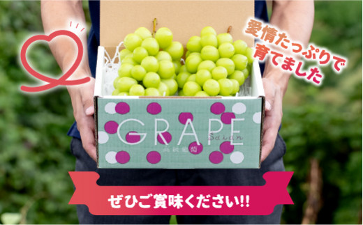 ＜2024年先行予約＞産地厳選シャインマスカット1.2kg～1.3kg（2房～3房）※沖縄・離島配送不可※ 106-003