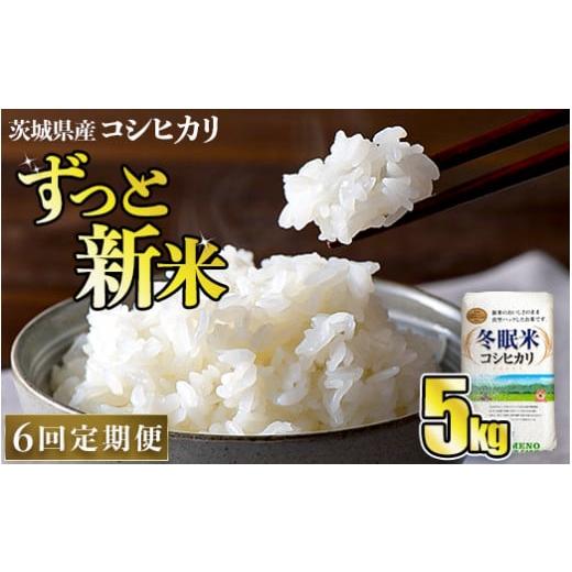 ふるさと納税 茨城県 守谷市 令和5年産 コシヒカリ 冬眠米 5kg×6回 計30kg 定期便 茨城県産 白米 精米 ごはん お米 冬眠 とうみんまい ブランド…