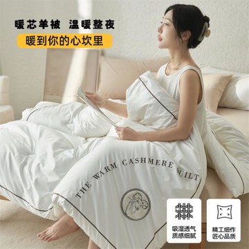 澳洲羊毛被100純羊毛被子冬被棉被加厚保暖冬季進口羊絨被芯
