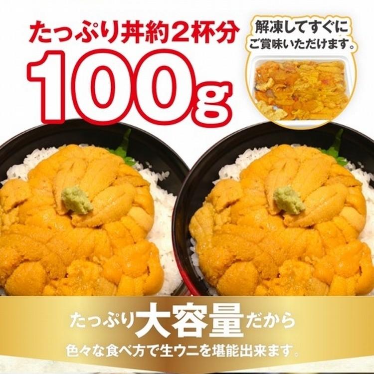 訳あり 生食用ウニ 100g ミョウバン不使用 ウニ 雲丹 うに タイムセール