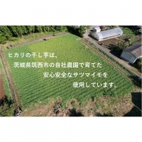 茨城県産 干し芋 1000g （ 平干し ） イモ いも さつまいも サツマイモ さつま芋 スイーツ [CO004ci]