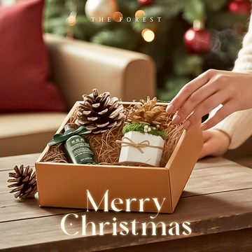 聖誕禮物1+1🎁快速出貨【癒森林】Lucky Pinecone 聖誕閃金松果擴香禮盒  交換禮物首選  摩羯座生日禮物