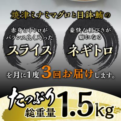 ふるさと納税 焼津市 海からの贈り物　焼津天然まぐろ三昧　3回お届け　定期便(a30-232)