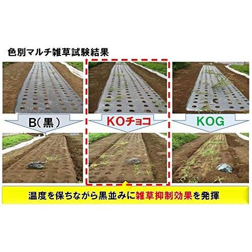 みかど化工 発芽補助二層フィルム KOチョコマルチ 150cm×200m 3本 KOC(20)150