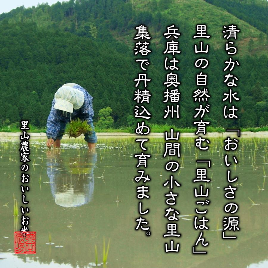 新米 お米 10kg 送料無料 玄米にてお届け 清流ひのひかり芥田川 令和5年産 生産農家 産地直送便 石抜き処理済み 玄米食 ギフト 贈答