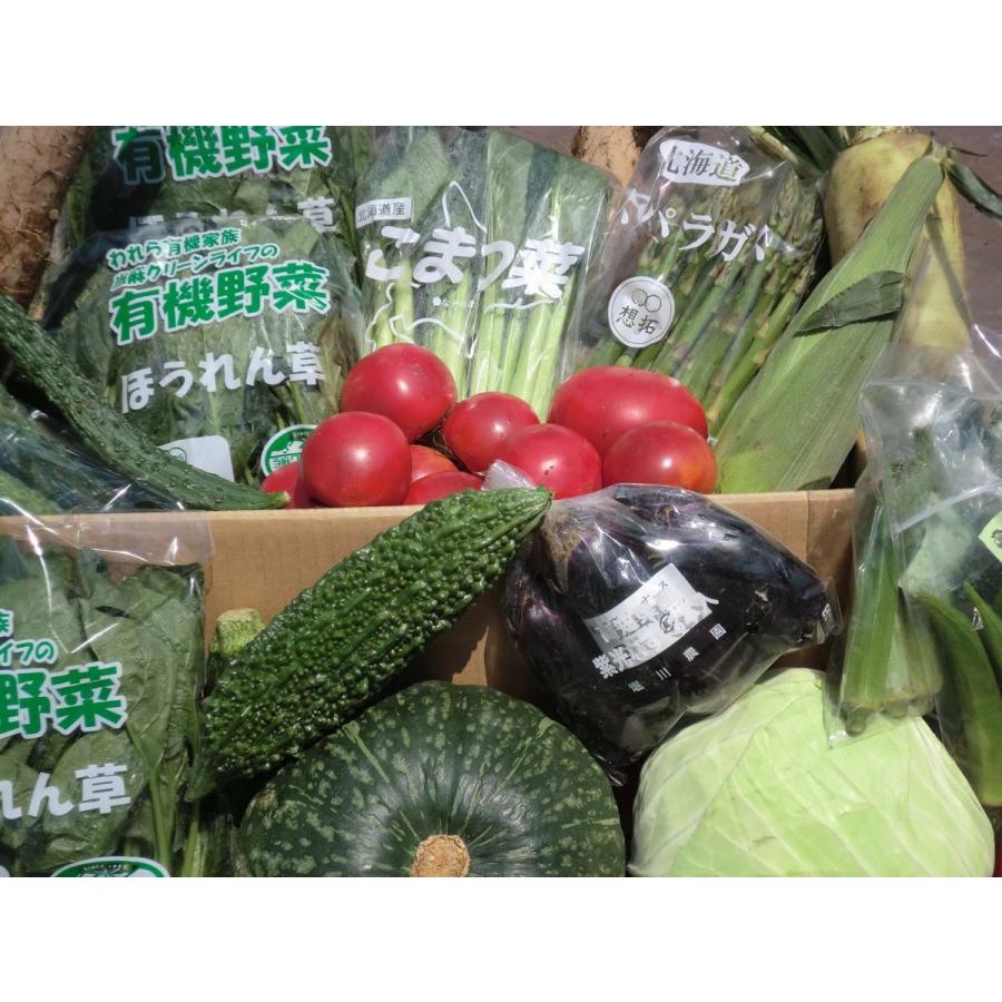 むつみ屋　旬の有機野菜セット10〜12品