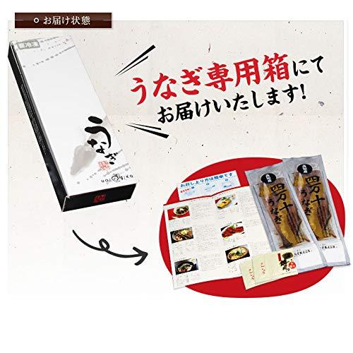 魚耕 四万十 うなぎ 国産 蒲焼き 110g×2尾 セット ギフト