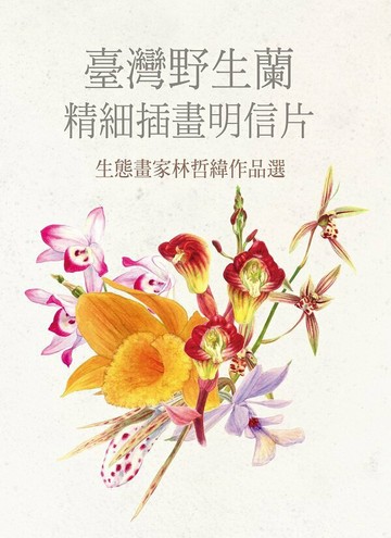 臺灣野生蘭精細插畫明信片：生態畫家林哲緯作品選【城邦讀書花園】