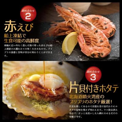 ふるさと納税 越前町 冷凍便でお手軽! 厳選の海鮮BBQ≪D≫セット(3種7品、2〜3人用)