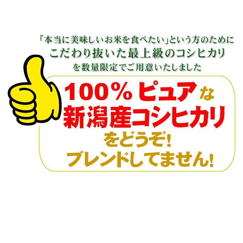 希少米 棚田米 新潟県産 コシヒカリ 1kg×3袋 3kg 新米 米 お米 白米 産地限定 送料無料