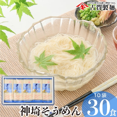 佐賀県特産品 神埼そうめん 10入 (H014124)