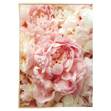 BOLUO GALLERY 菠蘿選畫所 胭脂牡丹 BFFB3469G  40 x 30cm  金色