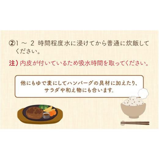 ふるさと納税 福井県 福井市 腸活美人 福井産六条大麦もち麦 5個セット[A-034003]