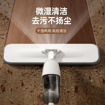 【臺灣出貨】新款噴水噴霧平板拖把乾溼兩用木地板拖把家用消毒免手洗拖地神器VPU