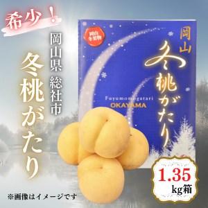 ふるさと納税 白桃「冬桃がたり（1.35kg箱）」岡山県総社市産 24-037-002 岡山県総社市