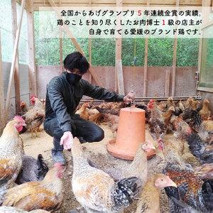 ふるさと納税 媛っこ地鶏 一羽セット もも むね 手羽先 手羽元 鶏肉 全国からあげ 鶏肉 グランプリ 鶏肉 5年連続 鶏肉 金賞 鶏肉 お肉博士 鶏肉 .. 愛媛県松山市