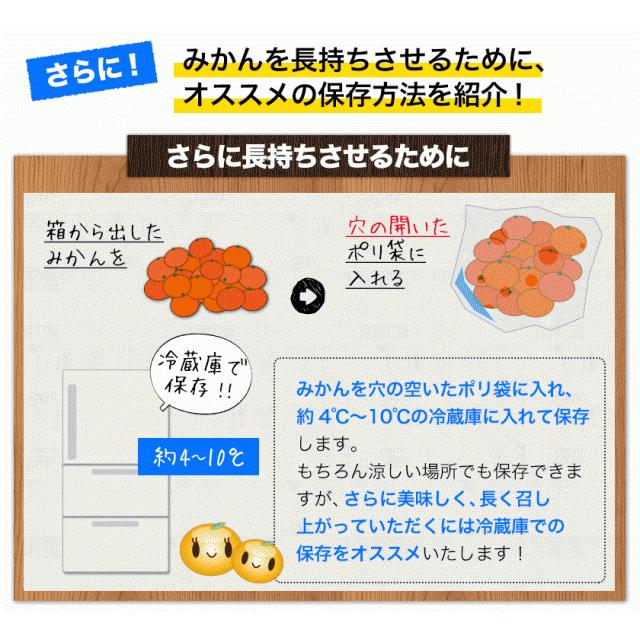 みかん 3代目みかん職人 中村公俊さんのみかん 5kg 熊本県産 S-Lサイズ混合 ミカン 果物 柑橘 フルーツ 7-14営業以内発送予定(土日祝除く)