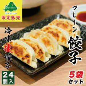 西山製麺 冷凍生餃子 プレーン 24個入×5袋セット 送料無料 業務用 惣菜 ぎょうざ 水餃子 もちもち 中華 ラーメン 西山 国産 お取り寄せ