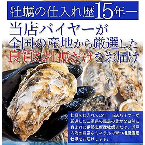 牡蠣 カンカン焼き セット Ｍ〜Ｌサイズ ２０個入 冷凍牡蠣 旬凍 産地厳選 ミニ缶入（牡蠣ナイフ・片手用軍手