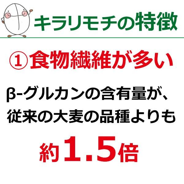 岡山県美作市産キラリモチ もち麦くん 300g