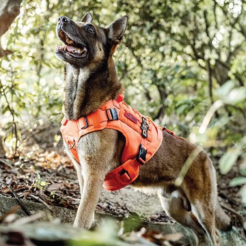 Onetigris 探險者X戰術胸帶