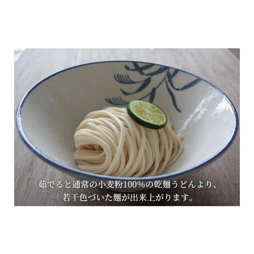 ふるさと納税 香川県 坂出市 小麦粉と玄米を使った乾麺「讃岐玄米うどん」20袋