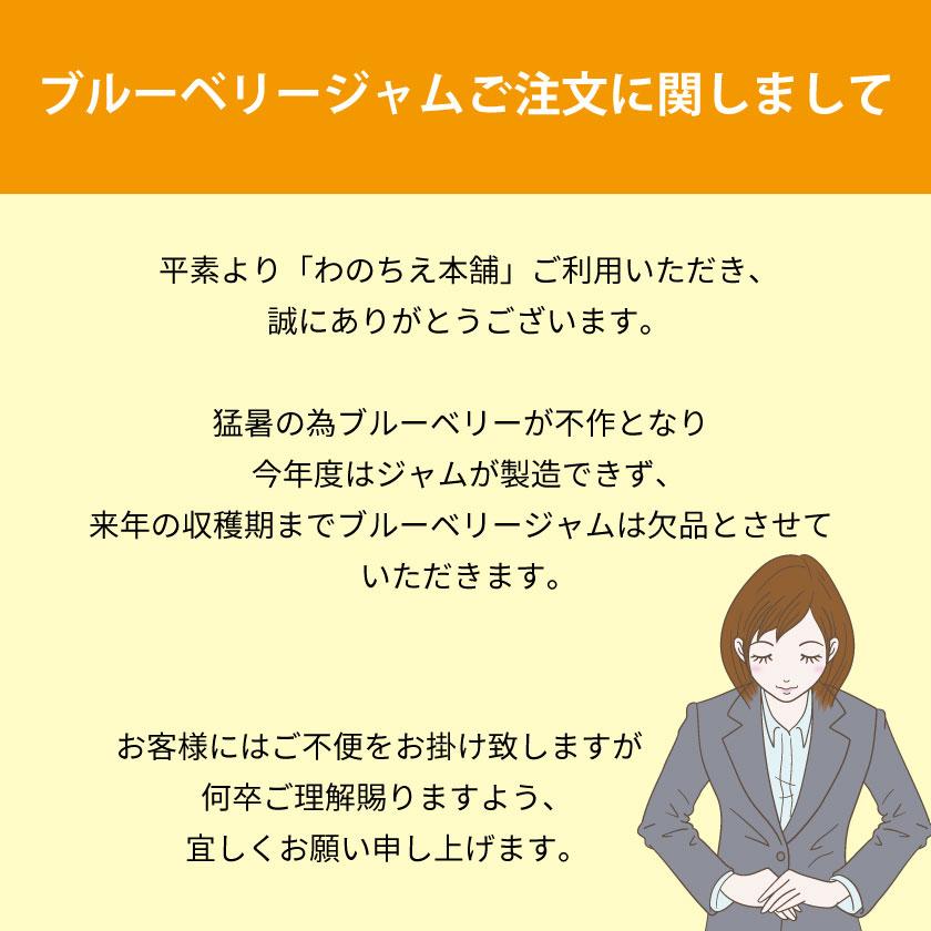 お歳暮 ギフト ドライフルーツ 無添加 砂糖不使用 ドライフルーツミックス果物 プレゼント お祝い ドライフルーツ 国産ジャム ギフト 送料無料