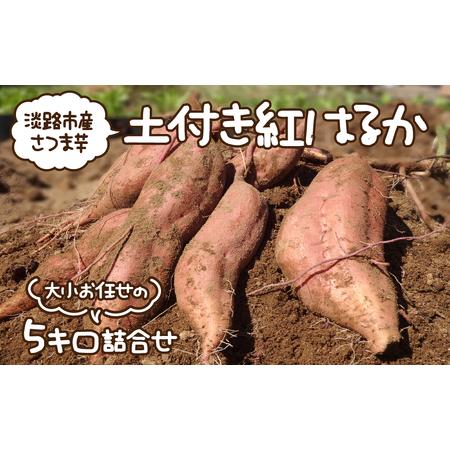 ふるさと納税 淡路市産さつま芋「土付き紅はるか」大小お任せの5キロ詰合せ 兵庫県淡路市