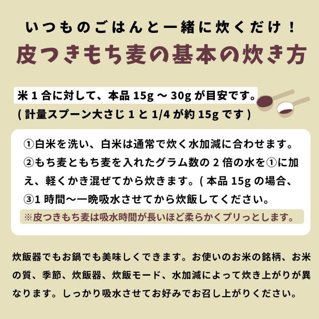 もち麦 国産 2.7kg ダイシモチ 皮付き 紫もち麦 プチコさん 900gｘ3袋 アントシアニン 腸内環境 食物繊維