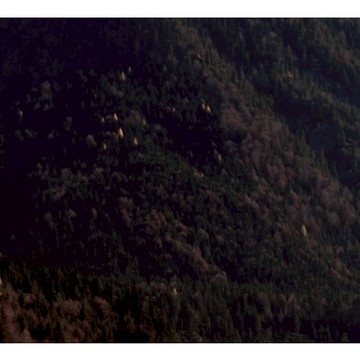 售後保障服務 售後保障服務