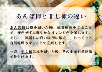 柿の食べ比べ 生柿 りんご あんぽ柿セット※着日指定不可 ※沖縄・離島への配送不可 ※2023年10月上旬～2024年2月下旬頃に発送予定