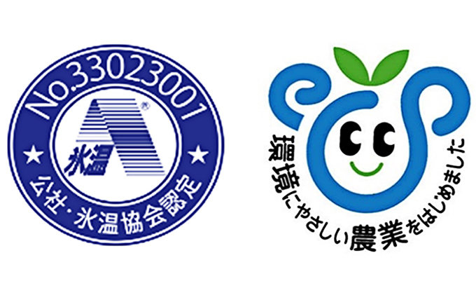 ぶどう 氷温(登録商標) シャイン マスカット 1房（約800g以上） マスカット ブドウ 葡萄  岡山県産 国産 フルーツ 果物 ギフト 黒川農園