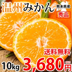 温州みかん 秀品 10kg 送料無料 みかん 熊本県産 蜜柑 ミカン