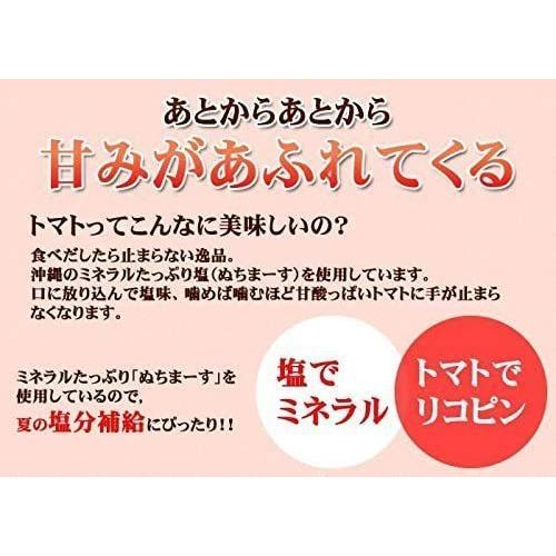 塩トマト110g×4袋＋梅塩トマト110g×4袋セット 沖縄の海塩 ぬちまーす使用 沖縄美健 ドライトマト 新食感 送料無料