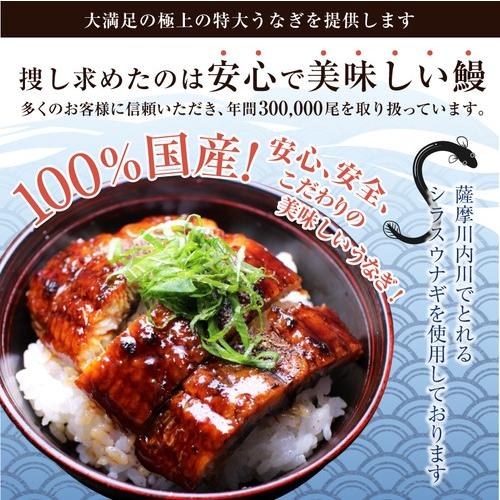 特大うなぎ蒲焼(185g〜215g）ｘ2本  国産　高級　冷凍便　九州産 最安値挑戦 ベストお取り寄せ大賞　銅賞受賞　贅沢　ギフト