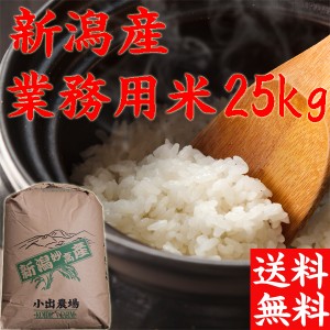 新米 令和5年 新潟産 業務用 米 25kg 送料無料 お米 訳あり米 送料無料 25kg 在庫処分 特別価格 お得米 安い お米 25kg 安い 25キロ お米