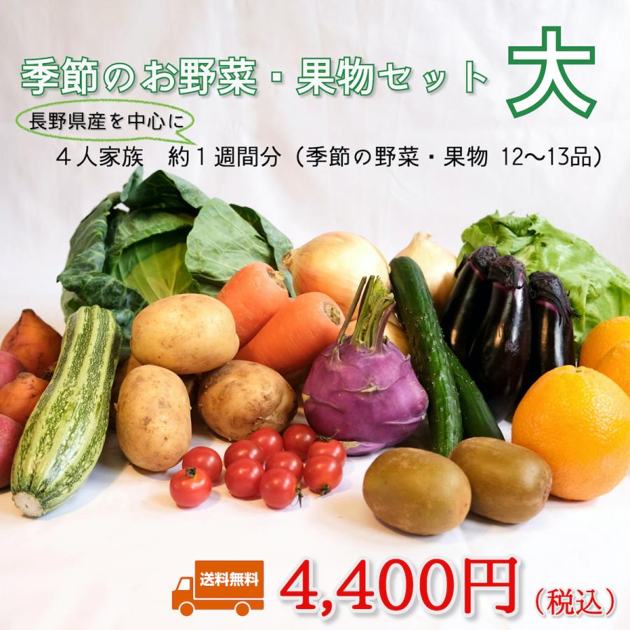 季節のお野菜・果物セット 大