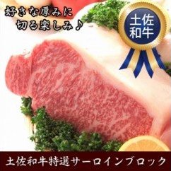 肉 牛 塊肉土佐 和牛 A5 特選 サーロイン ブロック 約1kg〈高知市共通返礼品〉お歳暮 御歳暮